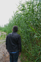 Man stands in front of tall thickets of green reeds