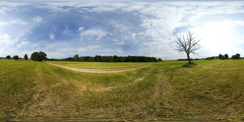 Obraz premium Lonely Tree on the Meadow HDRI Panorama