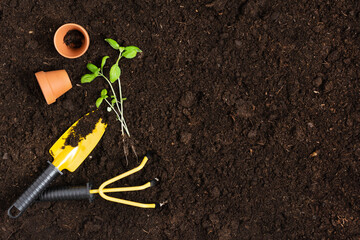 Gardening tools and plants on soil background top view.