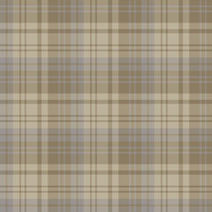 Seamless pattern in gray and beige colors for plaid, fabric, textile, clothes, tablecloth and other things. Vector image.