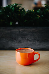 Orange cup with hot cocoa and marshmallows