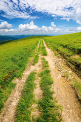 Fototapeta na wymiar path through green grassy mountain meadow. beautiful summer landscape. fine weather with fluffy clouds on the blue sky