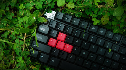 Discarded Computer Keyboard With Red Keys Amongst Overgrown Greenery