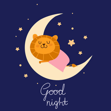 good night with sleeping lion