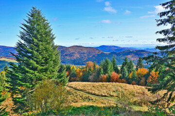 Mountain view with meadow and colorful autumn trees, Gorce mountains, Poland