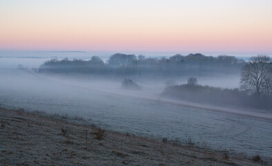 scenic view across fields and treelines covered in early morning mist