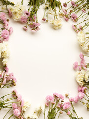 Beautiful small chrysanthemum flowers over white background top view