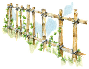 Obraz premium Hand drawn watercolor illustration, country garden vertical bed. Village gardering composition clipart, spring sowing work on the garden bed, isolated on a white background