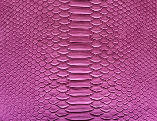 Pink snake skin background, close-up texture picture
