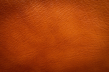 Old Brown Leather Texture Background, Natural Aged Skin