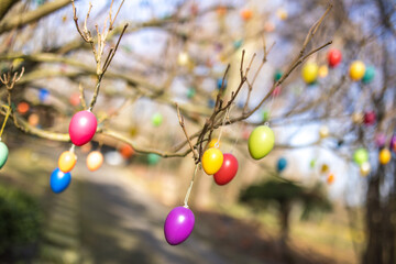Ostereier hängen zur Dekoration im Baum zu Ostern Feiertag