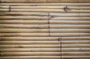 bamboo wall texture. 
Beautiful Background Photos.