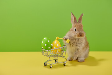 Easter bunny rabbit with shopping basket and painted eggs on green and yellow background