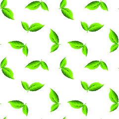 Green leaves of trees on a white background, texture for design, seamless pattern, vector illustration