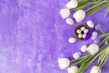 Color egg easter and white tulips flowers on purple background with copy space. flatly, greeting card