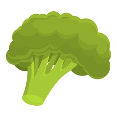 Broccoli plant icon. Cartoon of broccoli plant vector icon for web design isolated on white background