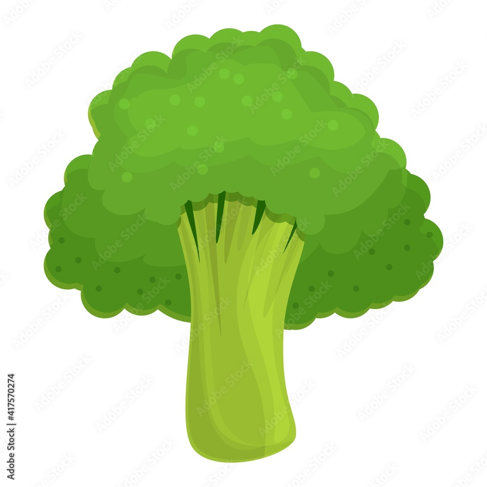Aufkleber cabbage broccoli icon. cartoon of cabbage broccoli vector icon for web design isolated on white back