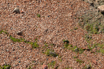 Red Sand and Stones of the red Sea Coast, Natural Texture Background