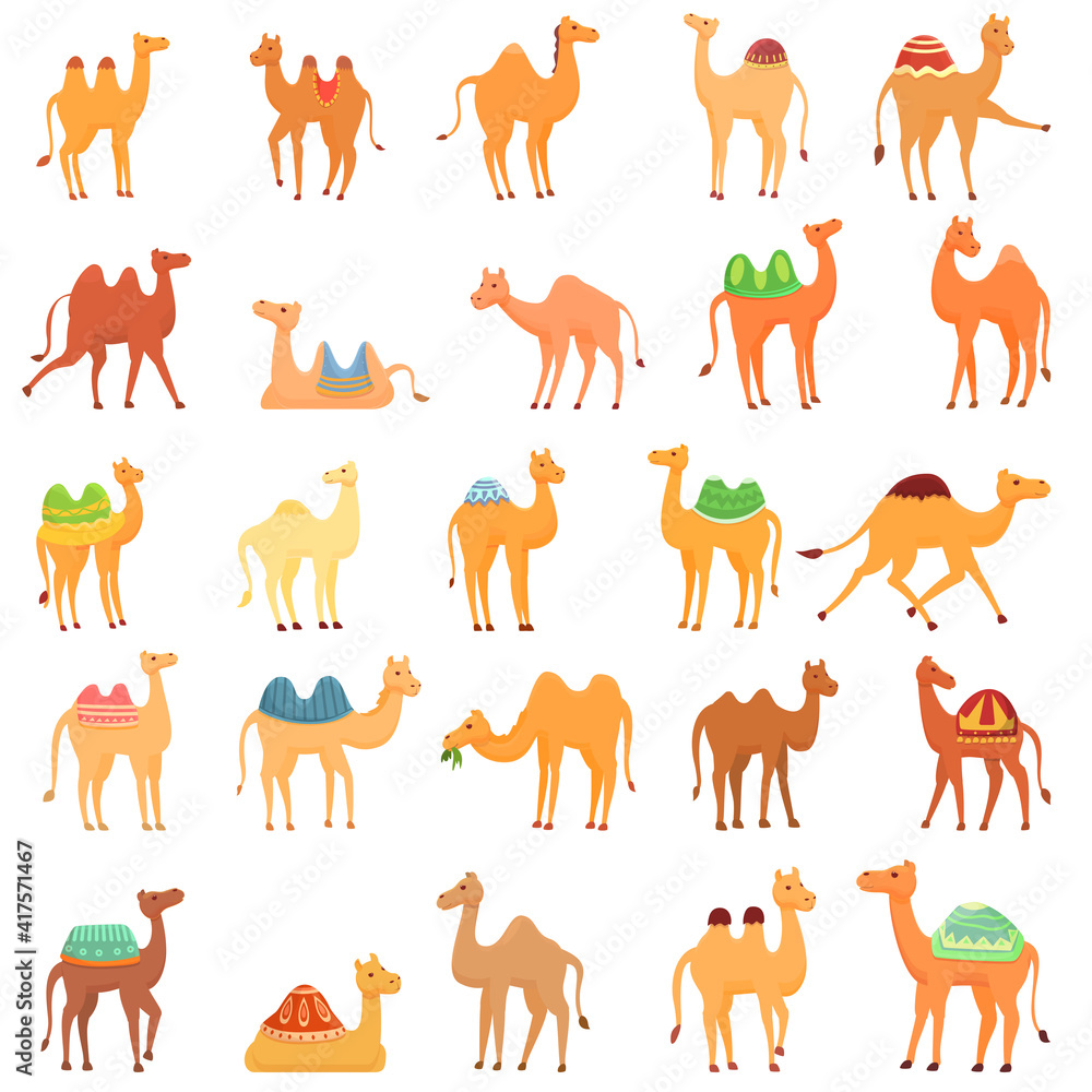 Poster camel icons set. cartoon set of camel vector icons for web design