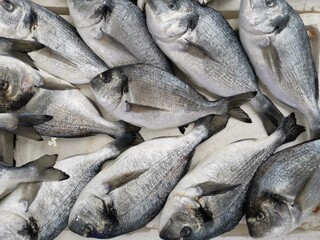 Fresh fish from the Black Sea