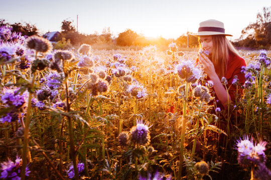 Beautiful young woman in violet phacelia flowers field in sunset tima