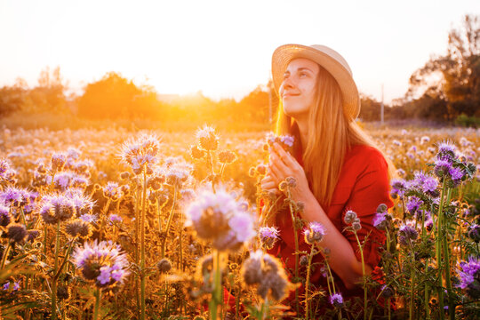 Beautiful young woman in violet phacelia flowers field in sunset tima