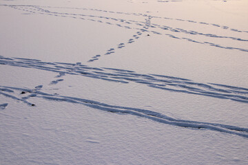 Winter icy landscape on a frozen snowy river, footprints visible in the snow