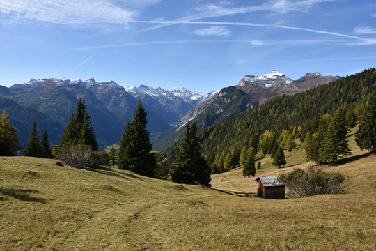 Wandern am Blaser am Brenner in Tirol im Almgebiet