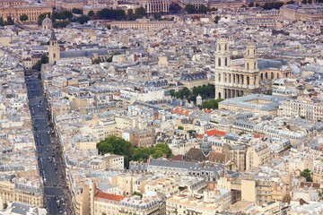 Fototapeta na wymiar Paris aerial view. Urban landscape - Paris city, France. Filtered color style.