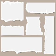 Set of different sizes of white torn paper on a gray background. Can write text, alphabet letters and other symbols. Vector illustration