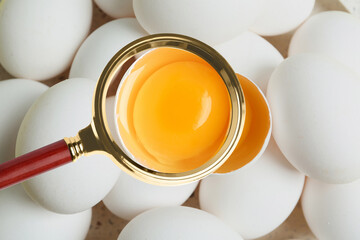 Magnifying glass focusing on chicken egg, closeup. Food control