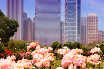 Chicago Illinois - urban skyline of Chicago. Filtered colors style.