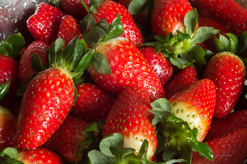 Strawberries dipped in bleach water to disinfect food in a container. Fruits and vegetables.