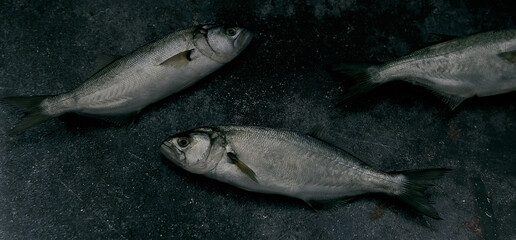 Uncooked fish with tails on dark background
