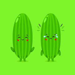 salad, cucumber cartoon, cucumber, green, diet, vitamin, collection, cartoon, vector, healthy, vegetarian, fresh, smile, nature, organic, vegetable, plant, background, food, vegetables, set, red, keto