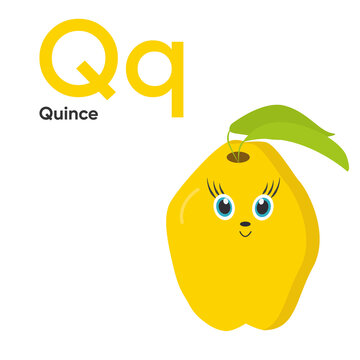Cute Vegetables and Fruit Alphabet Series A-Z. Vector ABC. Letter Qq. Quince. Cartoon fruits and vegetables alphabet for kids. Isolated vector icons Education, baby shower children prints, decor, card