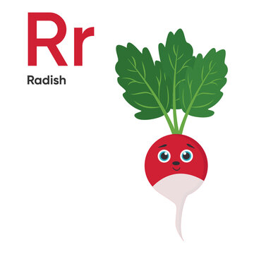 Cute Vegetables and Fruit Alphabet Series A-Z. Vector ABC. Letter Rr. Radish. Cartoon fruits and vegetables alphabet for kids. Isolated vector icons Education, baby shower children prints, decor, card