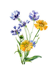 Watercolor bouquet of blue cornflowers and marigolds on a white background