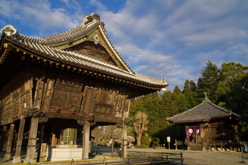 Obraz premium 成田山新勝寺 春の夕景