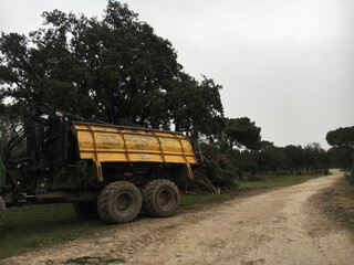 Obraz premium truck on the road