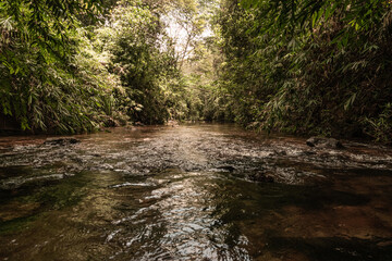 Piękna rzeka z kamieniami pośród dżungli, deszczowego lasu tropikalnego.  - obrazy, fototapety, plakaty