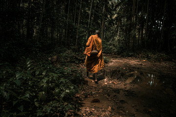 Buddyjski mnich w pomarańczowej szacie samotnie wędrujący przez dżunglę.