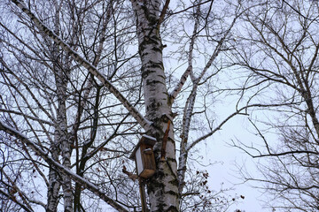 Fototapeta premium Homemade old birdhouse on a big birch in winter. Selective focus