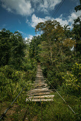 Drewniany most linowy rozwieszony pośród dżungli.
