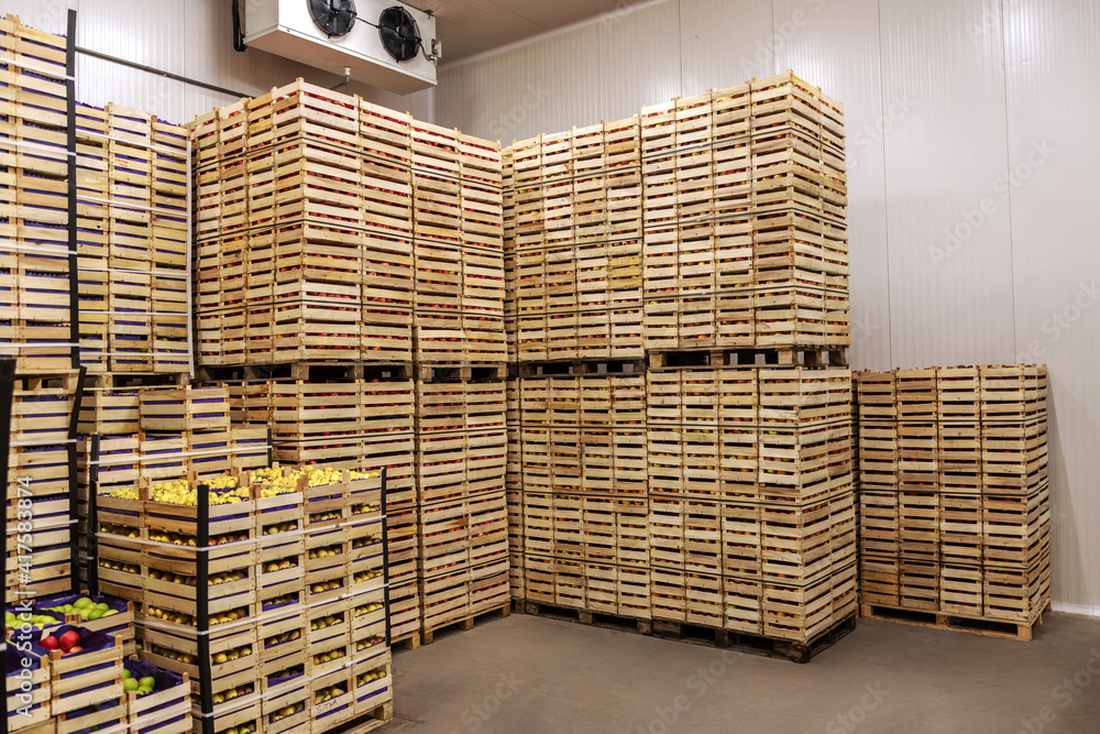 Wall mural fruits in crates ready for shipping. cold storage interior.