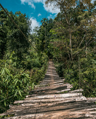 Drewniany most linowy rozwieszony pośród dżungli. - obrazy, fototapety, plakaty