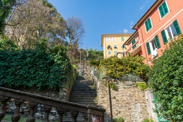 Fototapeta na wymiar Zoagli, Genoa, Italy - 02 21 2021: views of the Zoagli village with typical houses and gardens