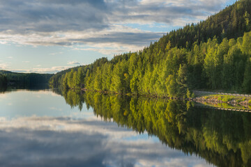 trees that are reflected in the waters of a river