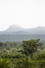A beautiful landscape of the african bush. Mountain in the background
