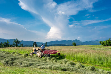 Tractor with a farmer mowing a meadow with a thundercloud and mountains in the background near Postojna, Slovenia